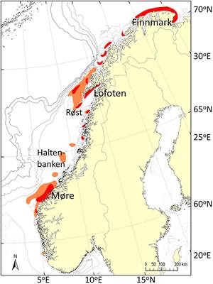 Wind Intensity Is Key to Phytoplankton Spring Bloom Under Climate Change